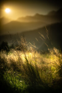 nature-megeve